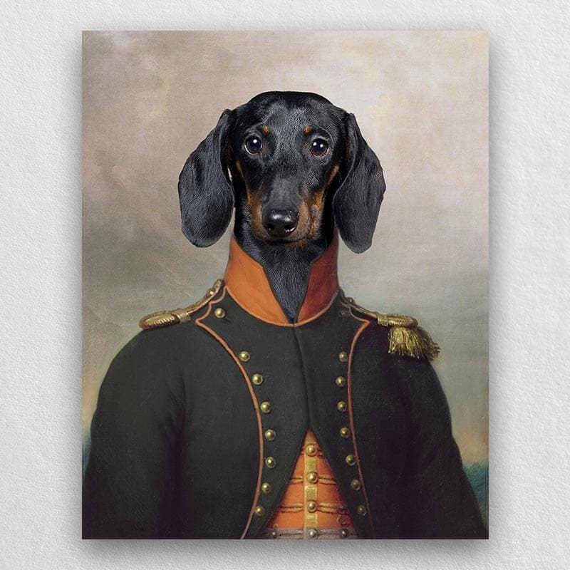 Admiral Of France Pet Custom Portrait Canvas Painting ktclubs.com