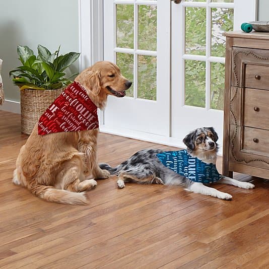 Best Friend Pet Bandana ktclubs.com