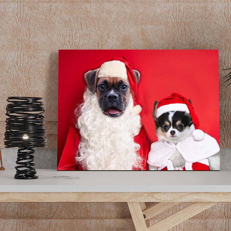 Christmas Pet Portraits In Costume ktclubs.com