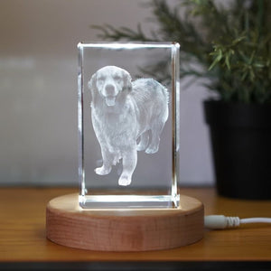 Custom 3D Crystal Photo Gift, Personalized 3D Photo Engraved Crystal Cube, Pet Loss Gift, Dog Portrait Custom, Christmas Gift, New Year Gift ktclubs.com