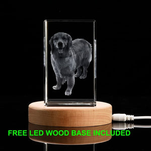 Custom 3D Crystal Photo Gift, Personalized 3D Photo Engraved Crystal Cube, Pet Loss Gift, Dog Portrait Custom, Christmas Gift, New Year Gift ktclubs.com