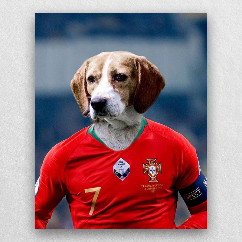 Famous Pet Soccer Player During The Match Portraits ktclubs.com