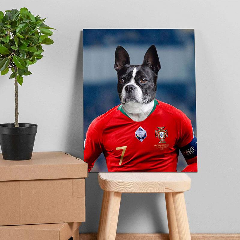 Famous Pet Soccer Player During The Match Portraits ktclubs.com