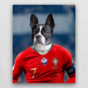 Famous Pet Soccer Player During The Match Portraits ktclubs.com