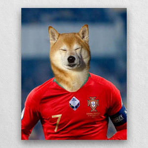 Famous Pet Soccer Player During The Match Portraits ktclubs.com