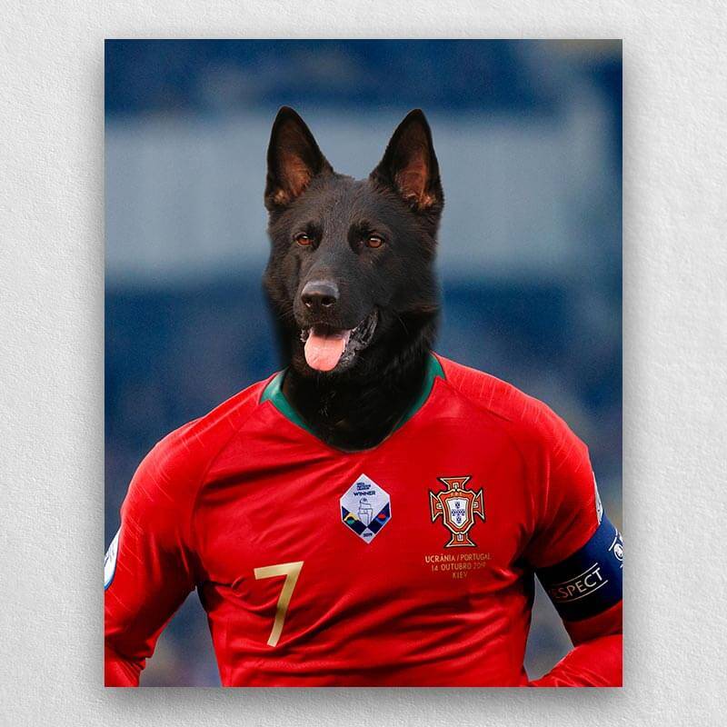 Famous Pet Soccer Player During The Match Portraits ktclubs.com