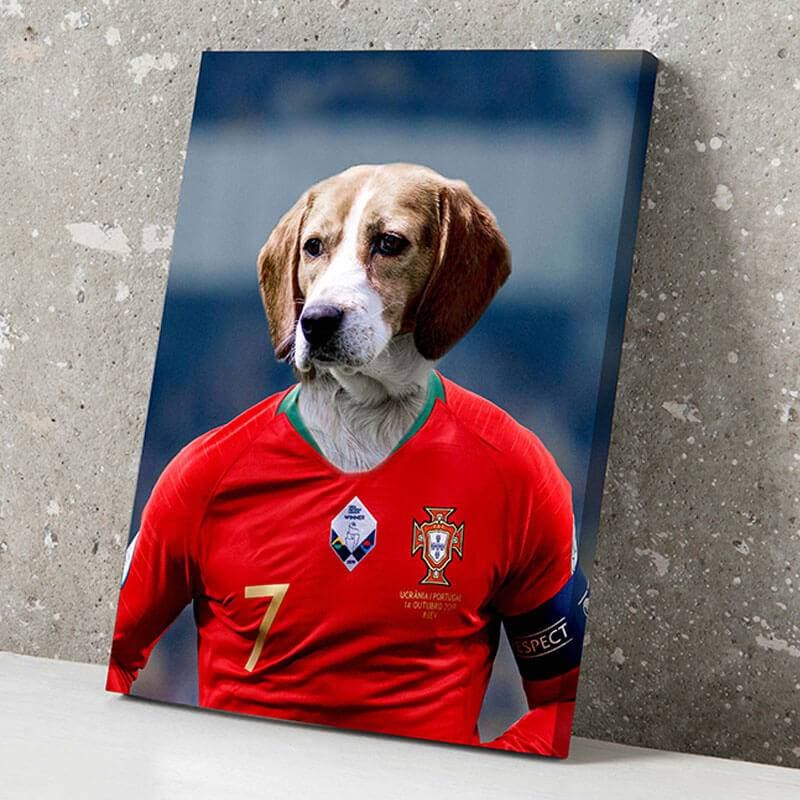 Famous Pet Soccer Player During The Match Portraits ktclubs.com