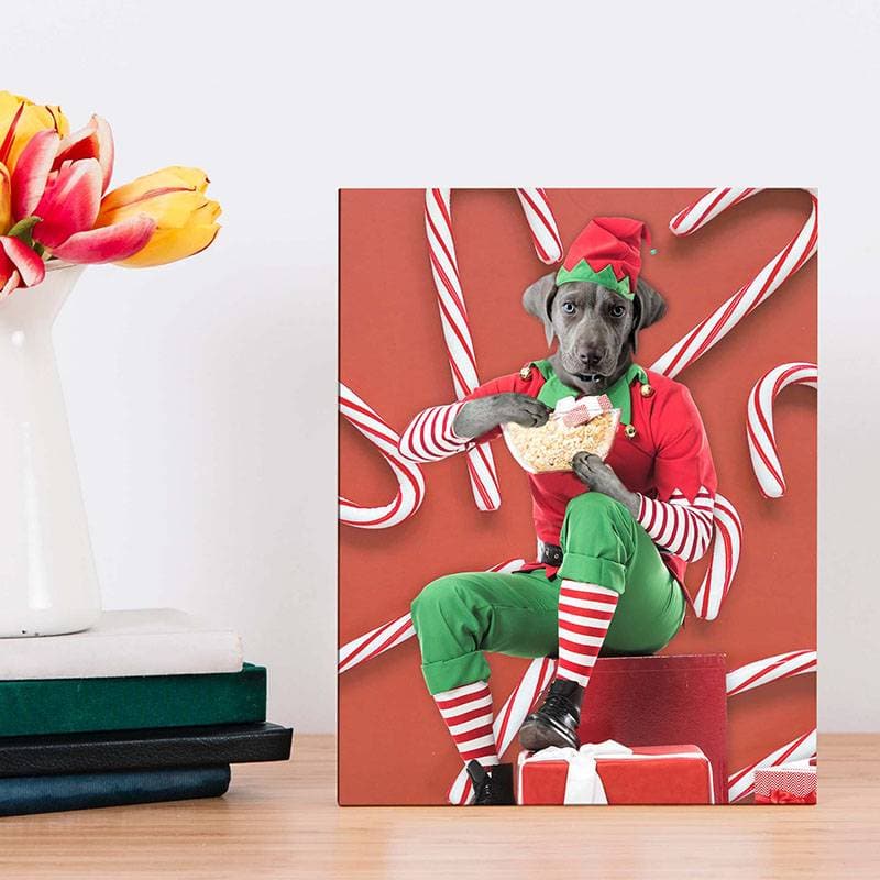 Holiday Pet Portraits Funny Pet Canvas ktclubs.com