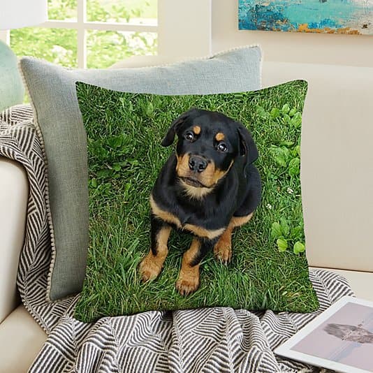 My Furry Friend Pet Photo Pillow ktclubs.com