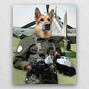 Pilot Pet Portrait Animal Head Portraits ktclubs.com