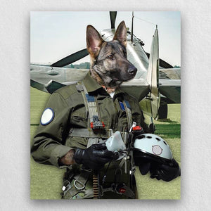 Pilot Pet Portrait Animal Head Portraits ktclubs.com