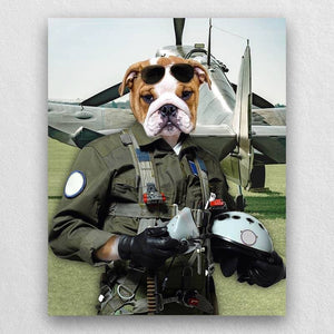 Pilot Pet Portrait Animal Head Portraits ktclubs.com