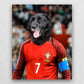 The Famous Soccer Star Canvas Prints Of Your Pets ktclubs.com