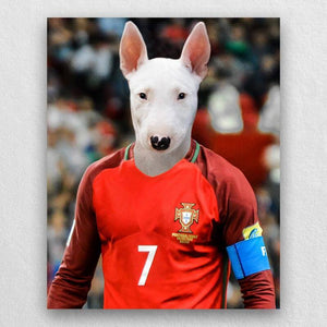 The Famous Soccer Star Canvas Prints Of Your Pets ktclubs.com