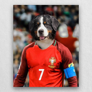 The Famous Soccer Star Canvas Prints Of Your Pets ktclubs.com