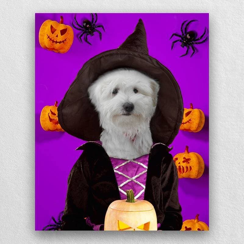 Witch Pets In Costume Portraits ktclubs.com