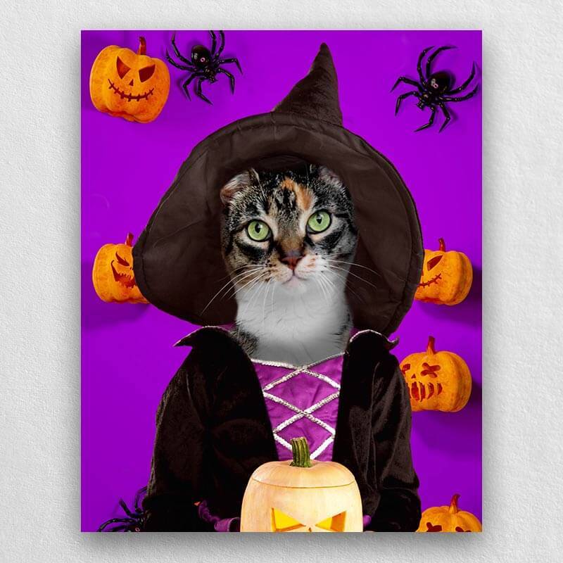 Witch Pets In Costume Portraits ktclubs.com