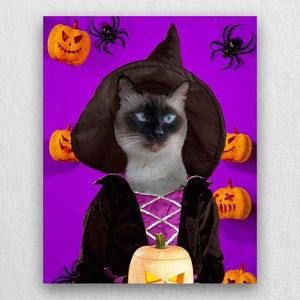 Witch Pets In Costume Portraits ktclubs.com