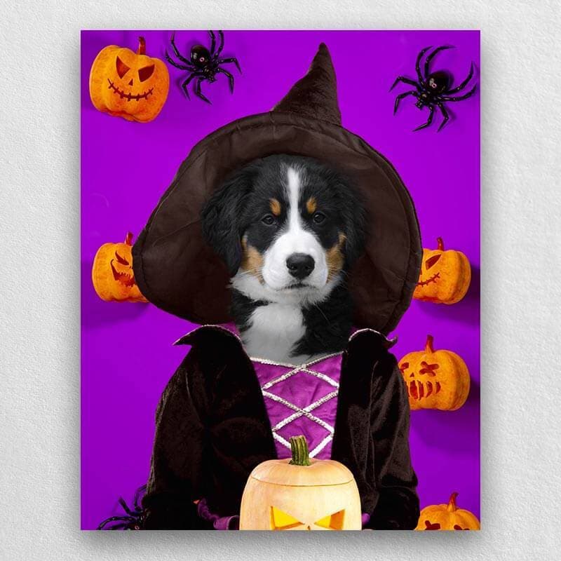 Witch Pets In Costume Portraits ktclubs.com