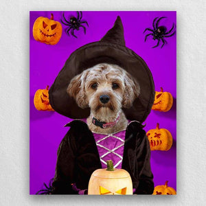 Witch Pets In Costume Portraits ktclubs.com