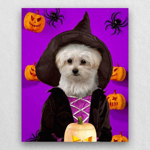 Witch Pets In Costume Portraits ktclubs.com