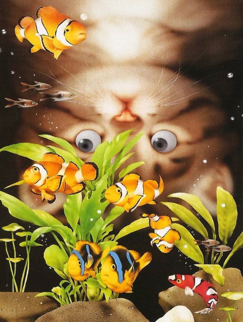 Fish And Cats Animal Diamond Painting Diamond Dotz Embroidery Cross Stitch Full Drill 5D DIY Kit, Craft For Adult/Kids, Christmas Gift